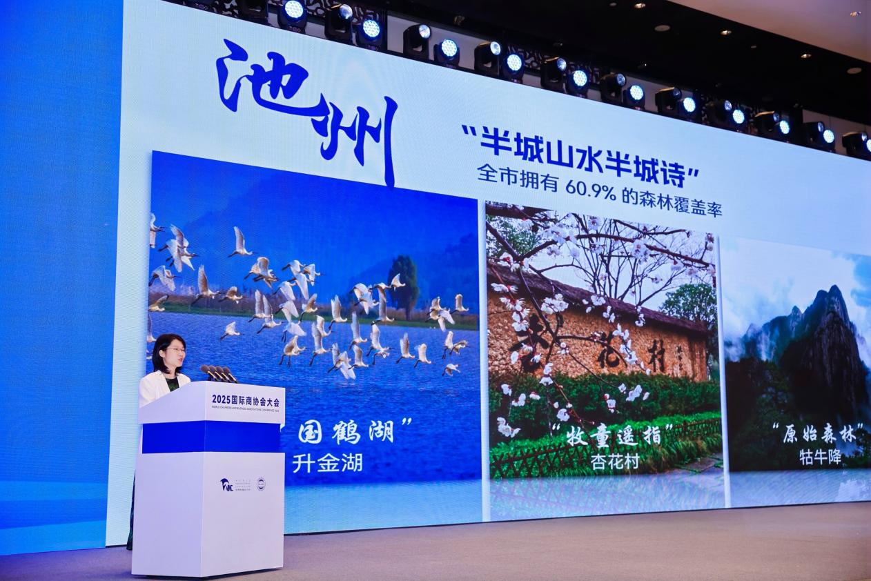 圖片4.png 圖片4.png